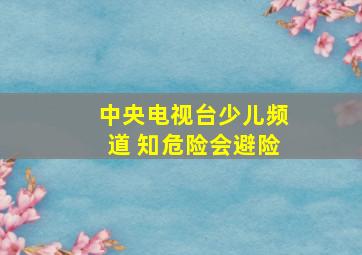 中央电视台少儿频道 知危险会避险